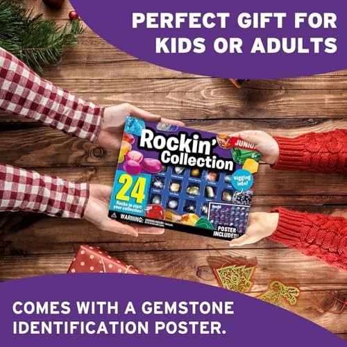 Rock Collection 24 Pcs Gemstones for Kids Geology Kit with Tiger’s Eye Rose