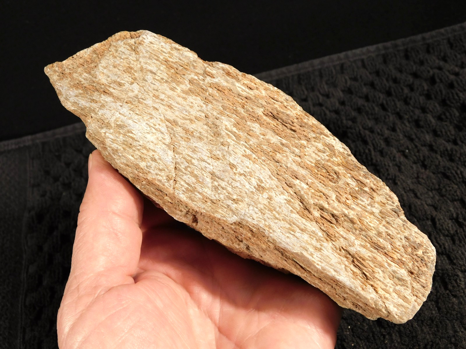 190 Million Year OLD! DINOSAUR Fossil Bone From Jurassic Utah! 399gr