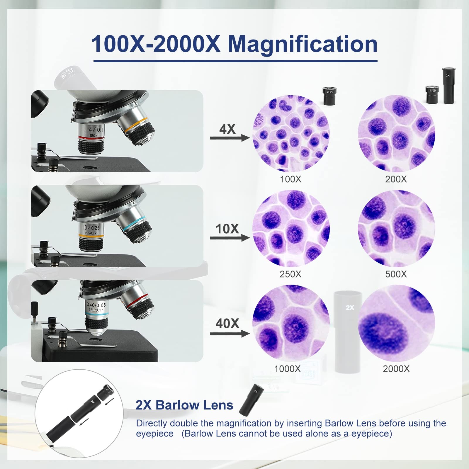 Microscope for Adults Kids Students, 100X-2000X Microscopes, Metal-Body Dual …