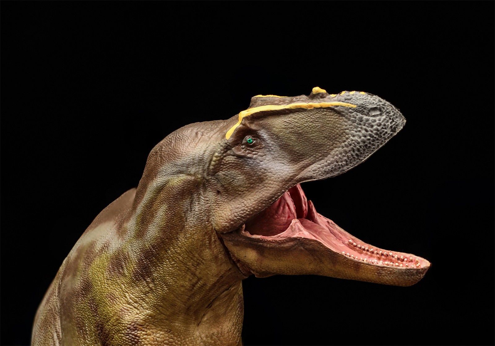 PNSO Tameryraptor 95 Model Decoration Dinosaur Animal Collection Gift Toys