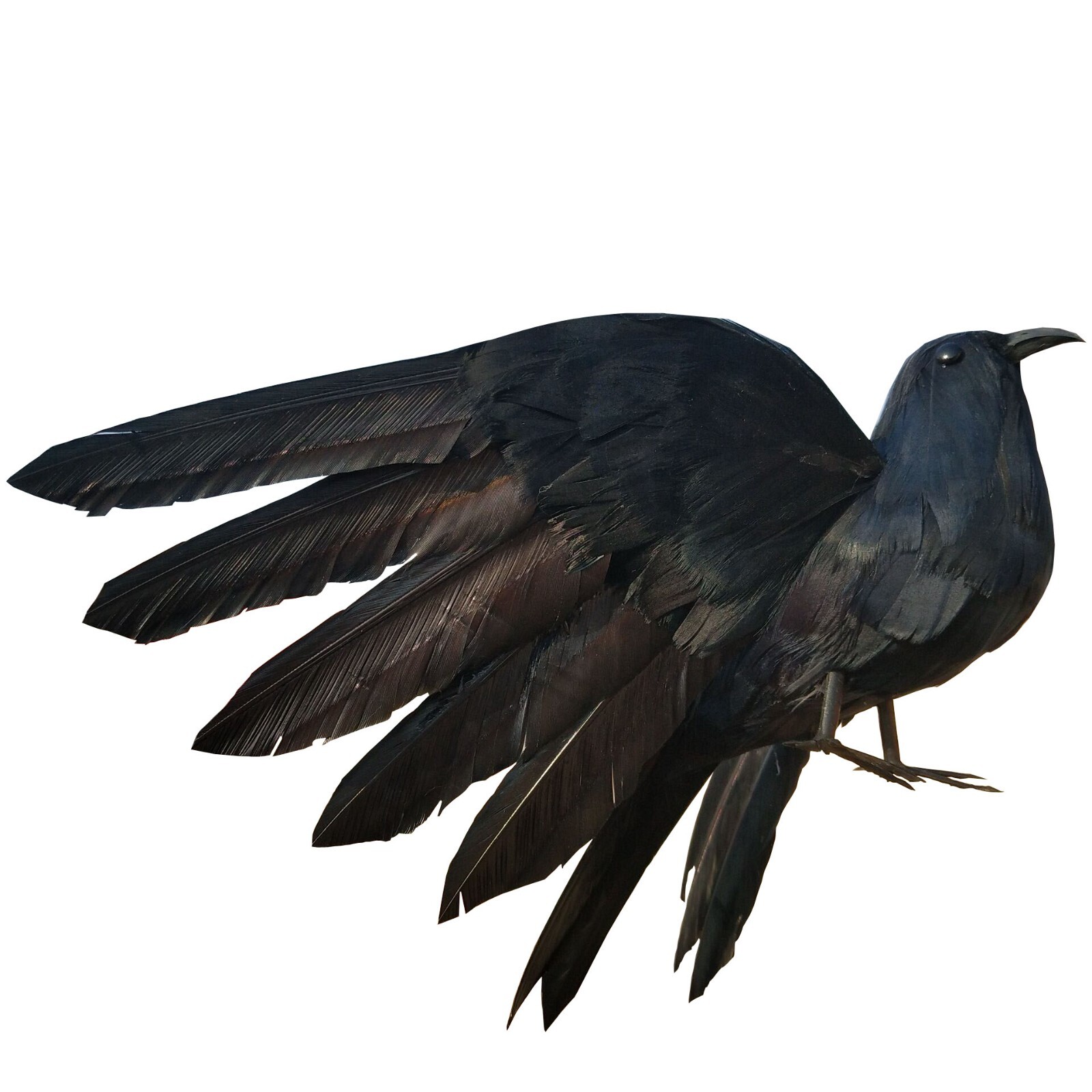 real life crow model foam&furs wings black crow doll gift about 22cm