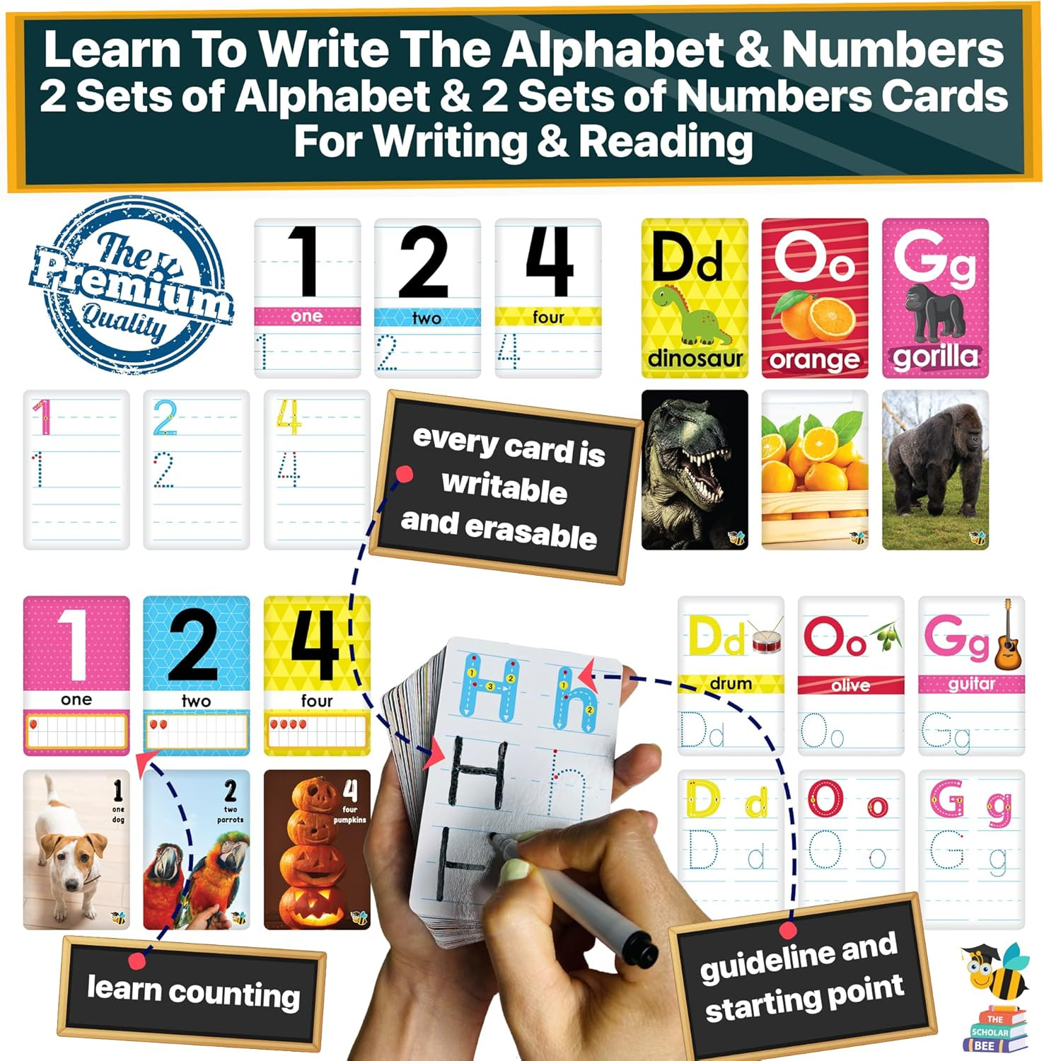 Flash Cards for Toddlers 2-4 Years – Jumbo Learning Box Set with Real Pictures –