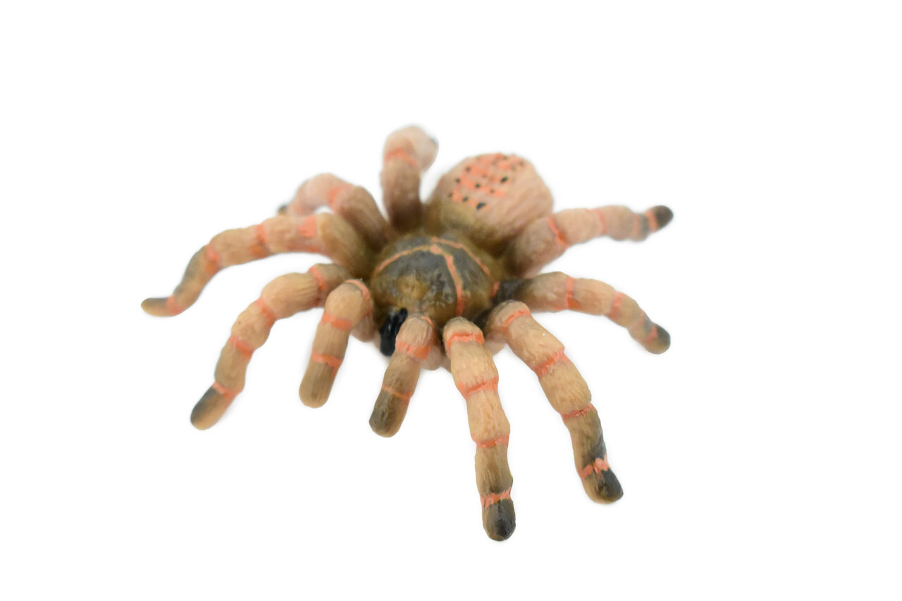 Wolf Spider, Hand Painted, Realistic Toy Figure, Model 3″ CH422 BB108