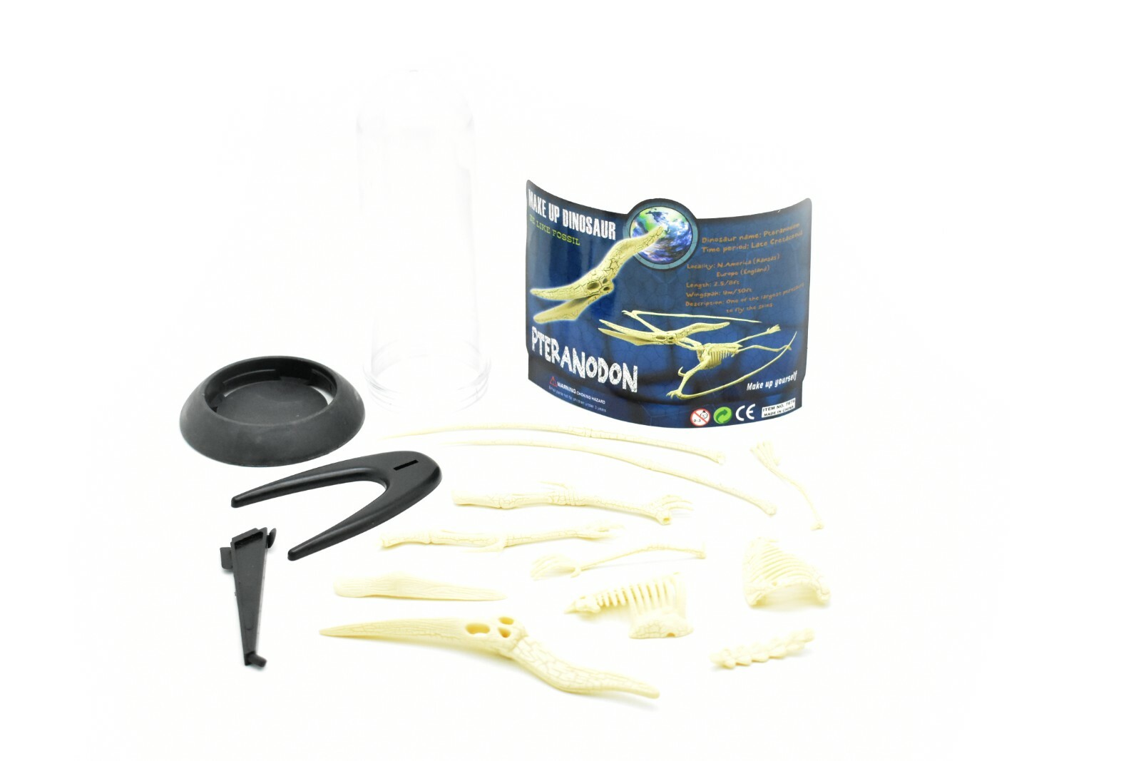 Pteranodon Dinosaur, Plastic Skeleton Model with Stand 10″ – F1807 B312