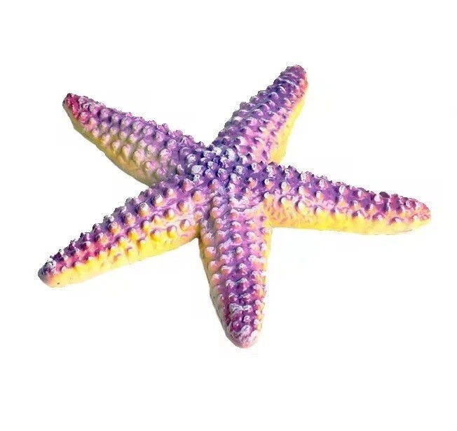 Starfish Animal Figure Toy PVC Doll Wildlife Small Figurine Birthday Gifts