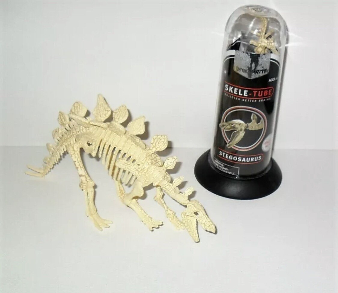 Brainstem Skele-Tube Stegosaurus Miniature Dinosaur Skeleton Model