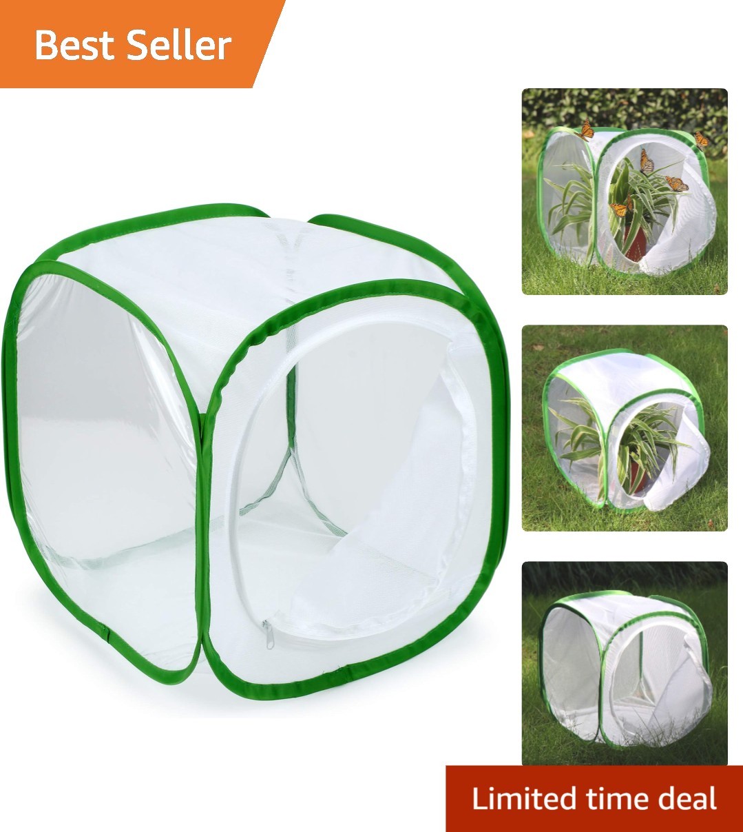 Insect and Cage Terrarium Pop-up 12 X 12 X 12 Inches