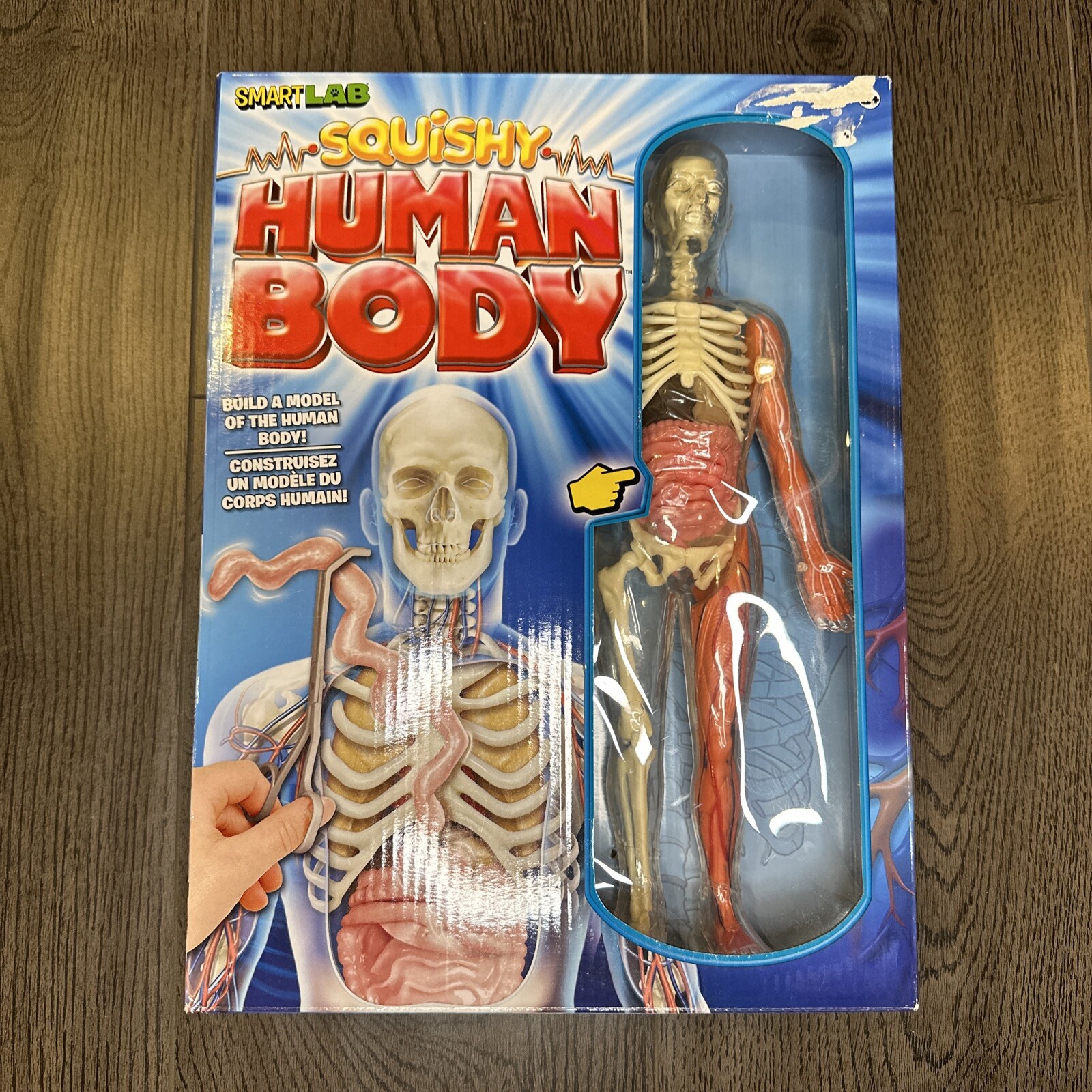 SmartLab Toys Squishy Human Body with 21 Removable Body Parts with Anatomy Book