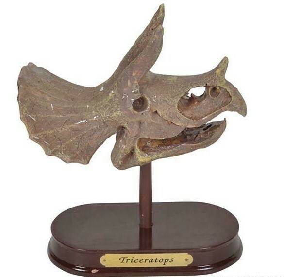 6.5″ Triceratops Skull Excavation Dinosaur Three Horn Dino Dig