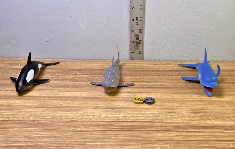 Ocean Creatures 7PC Collection, Shark, Whales, Starfish and Lobster -GDJ-P-1051