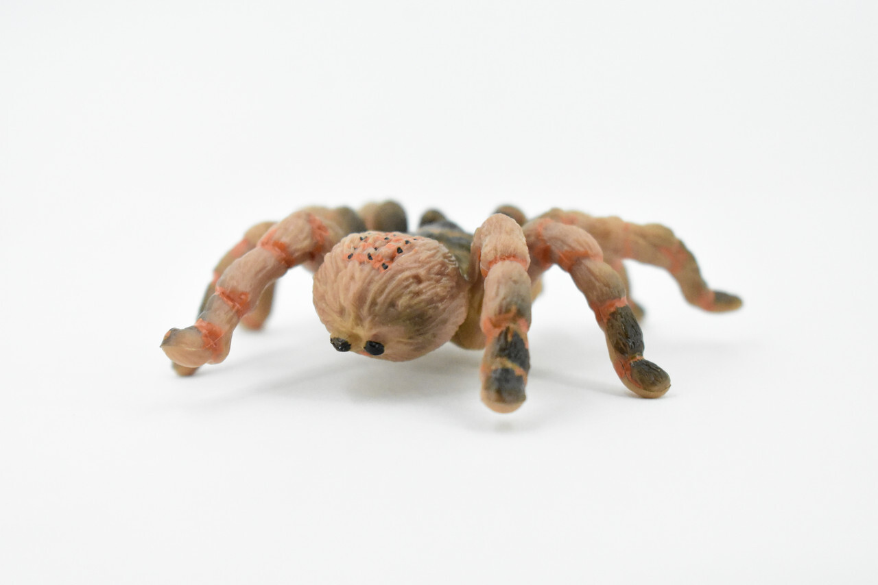Wolf Spider, Hand Painted, Realistic Toy Figure, Model 3″ CH422 BB108
