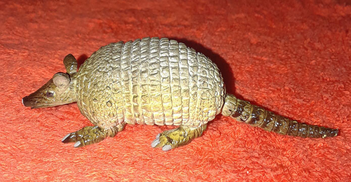 Armadillo Baby – AAA – Wild Animal Figure