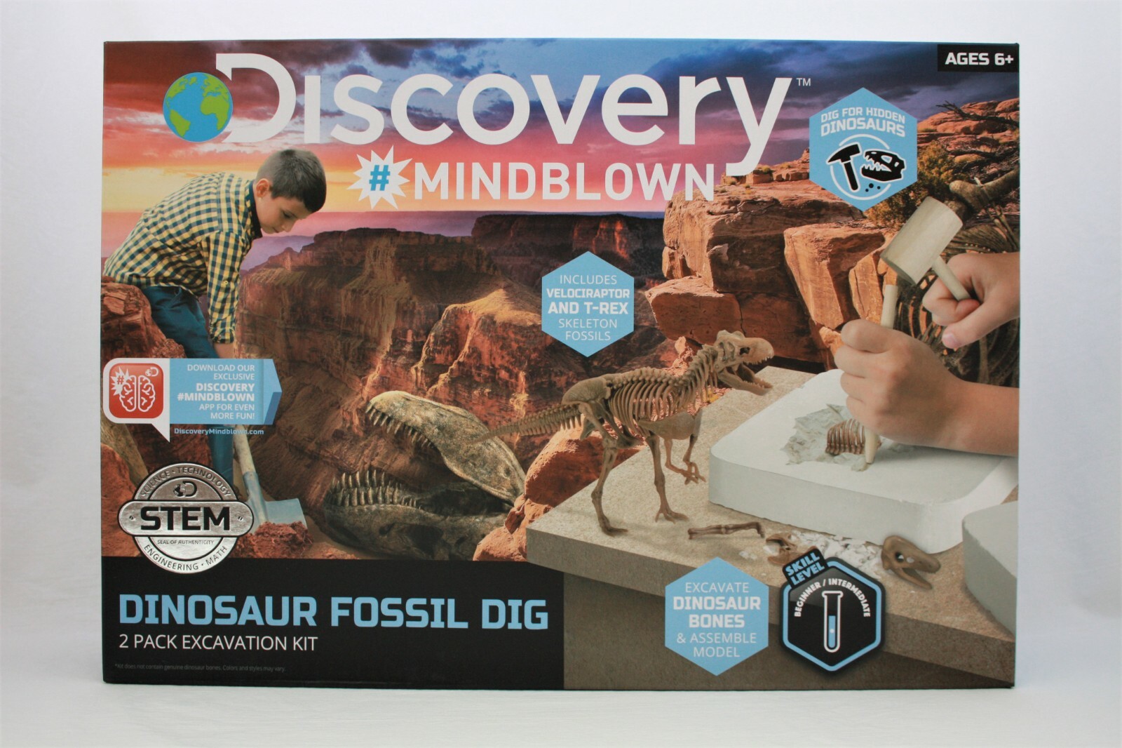 Kids Discovery Mindblown Dinosaur 3D Fossil Skeleton Excavation Kit Toy, New