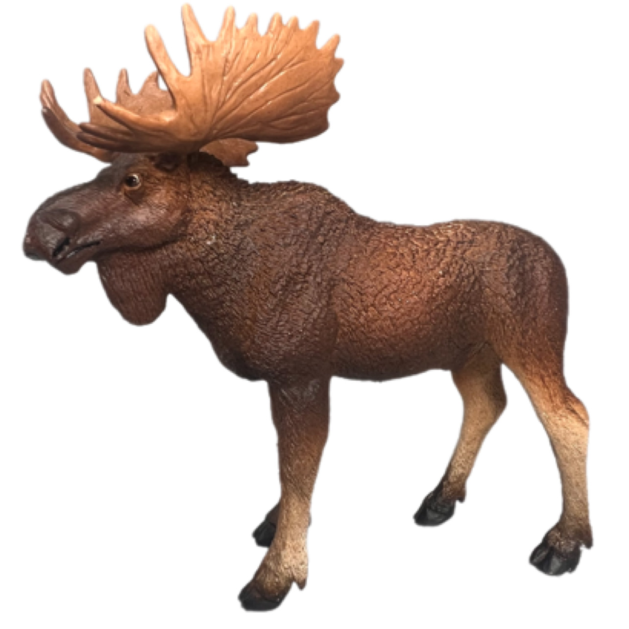 Safari Ltd Bull Moose Animal Figurine 4 x 5″ Plastic Deer Brown LTD. Educational