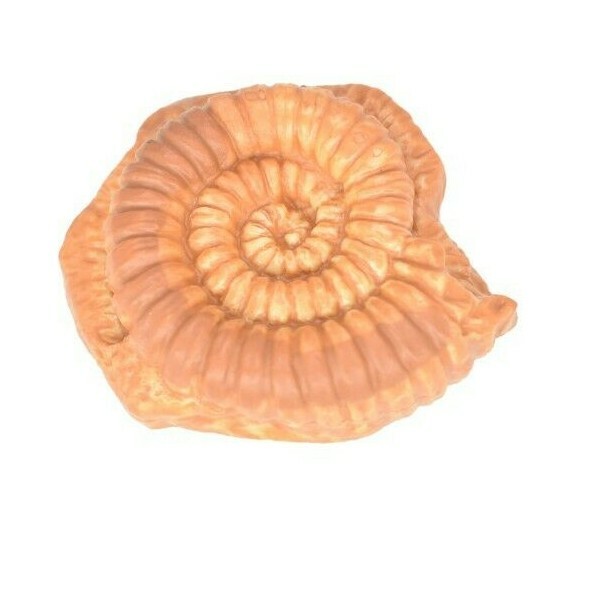 Ammonite Fossil Plastic Replica 1 3/4 inches across – F4098 B96