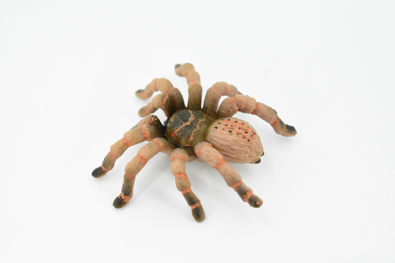 Wolf Spider, Hand Painted, Realistic Toy Figure, Model 3″ CH422 BB108