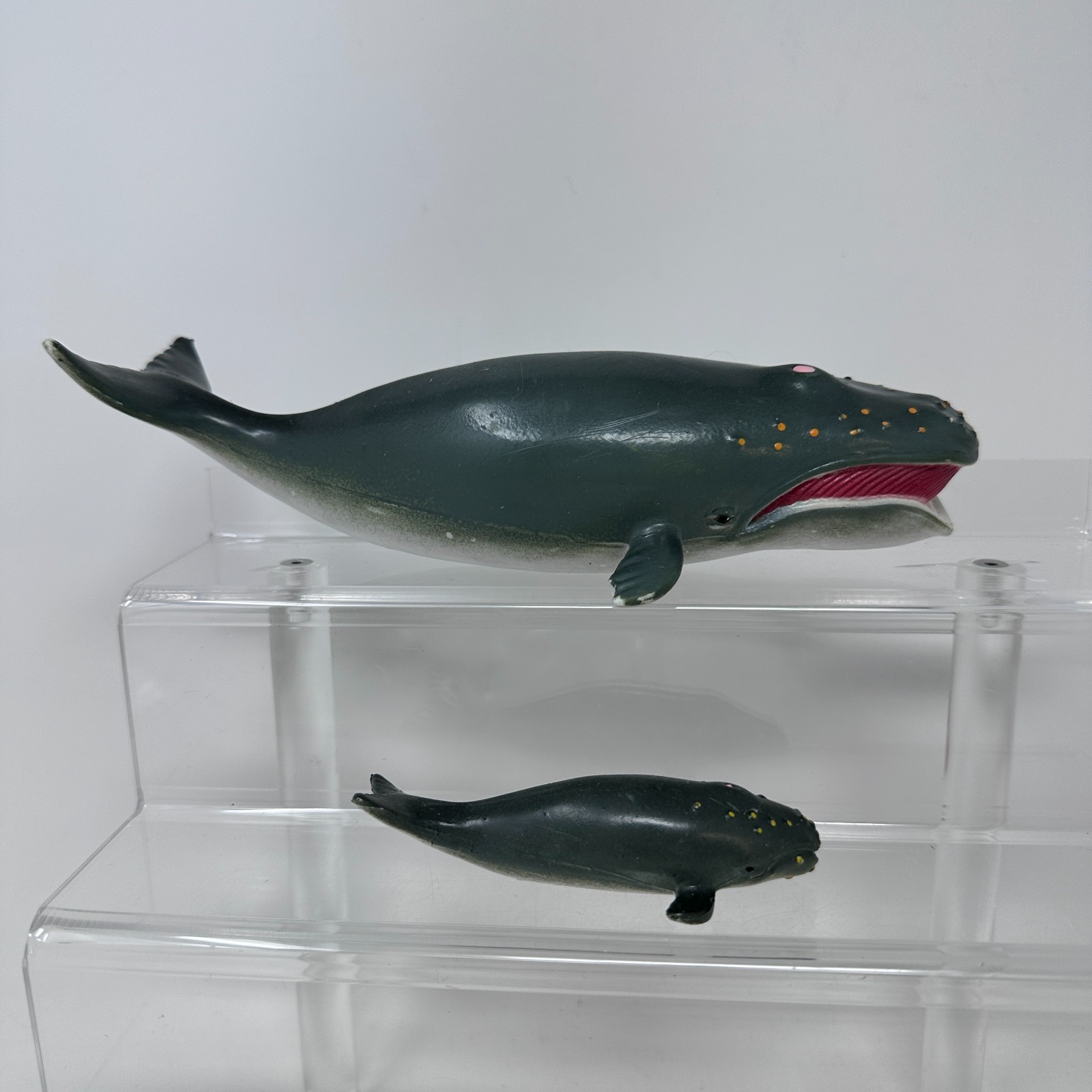 AAA Right Whale & Calf Figure Large Ocean Sea Wildlife Animal & Baby Figurine 8″