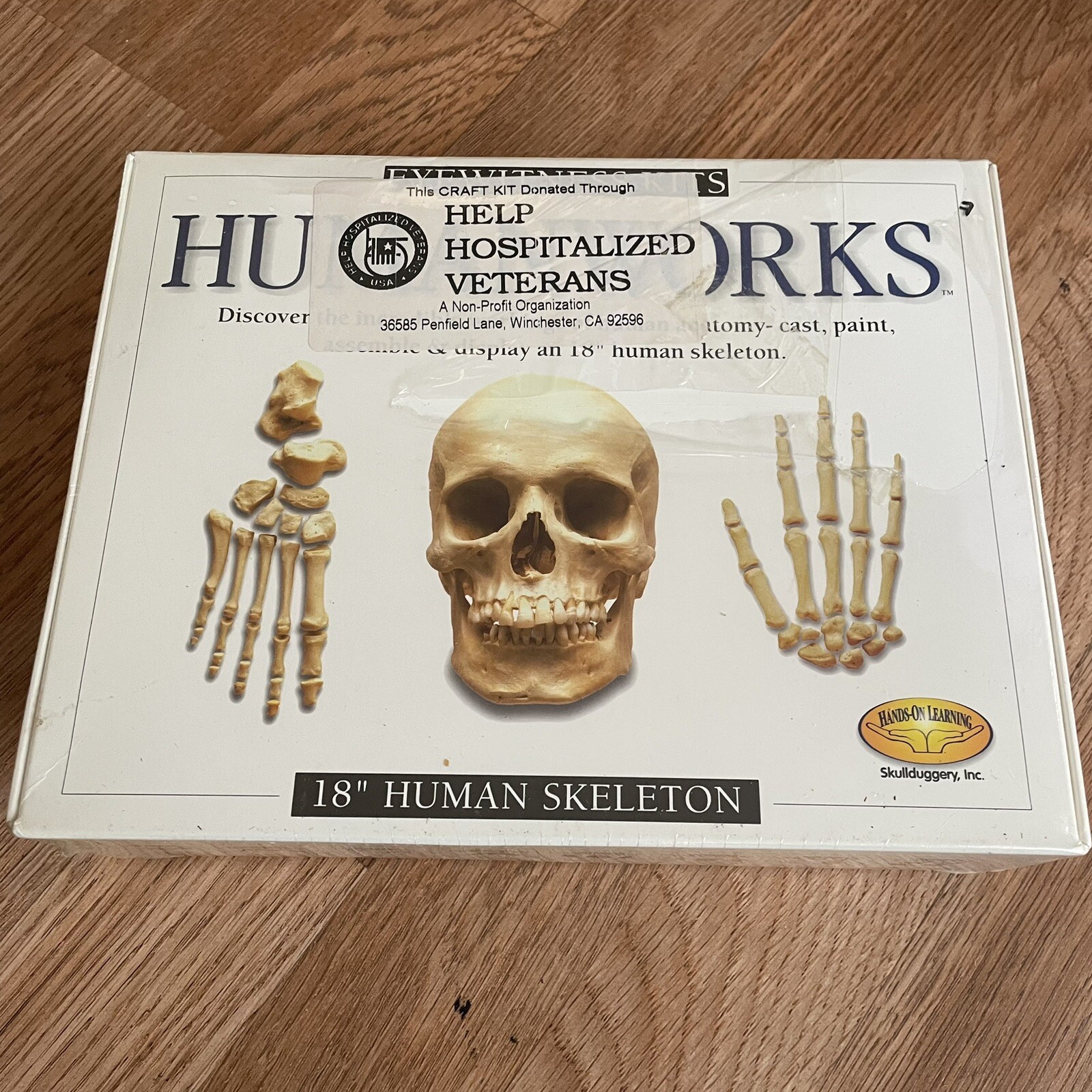 Humanworks 18” Human Skeleton Casting Kit DIY Halloween Anatomy Model Resin
