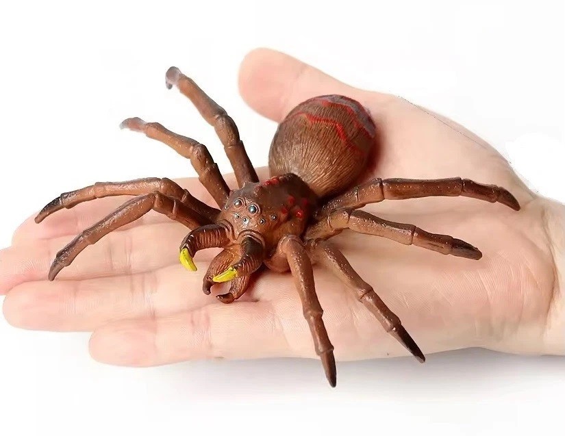 Spider Insect Wild Animal Figure Toy PVC Doll Small Figurine Birthday Gifts