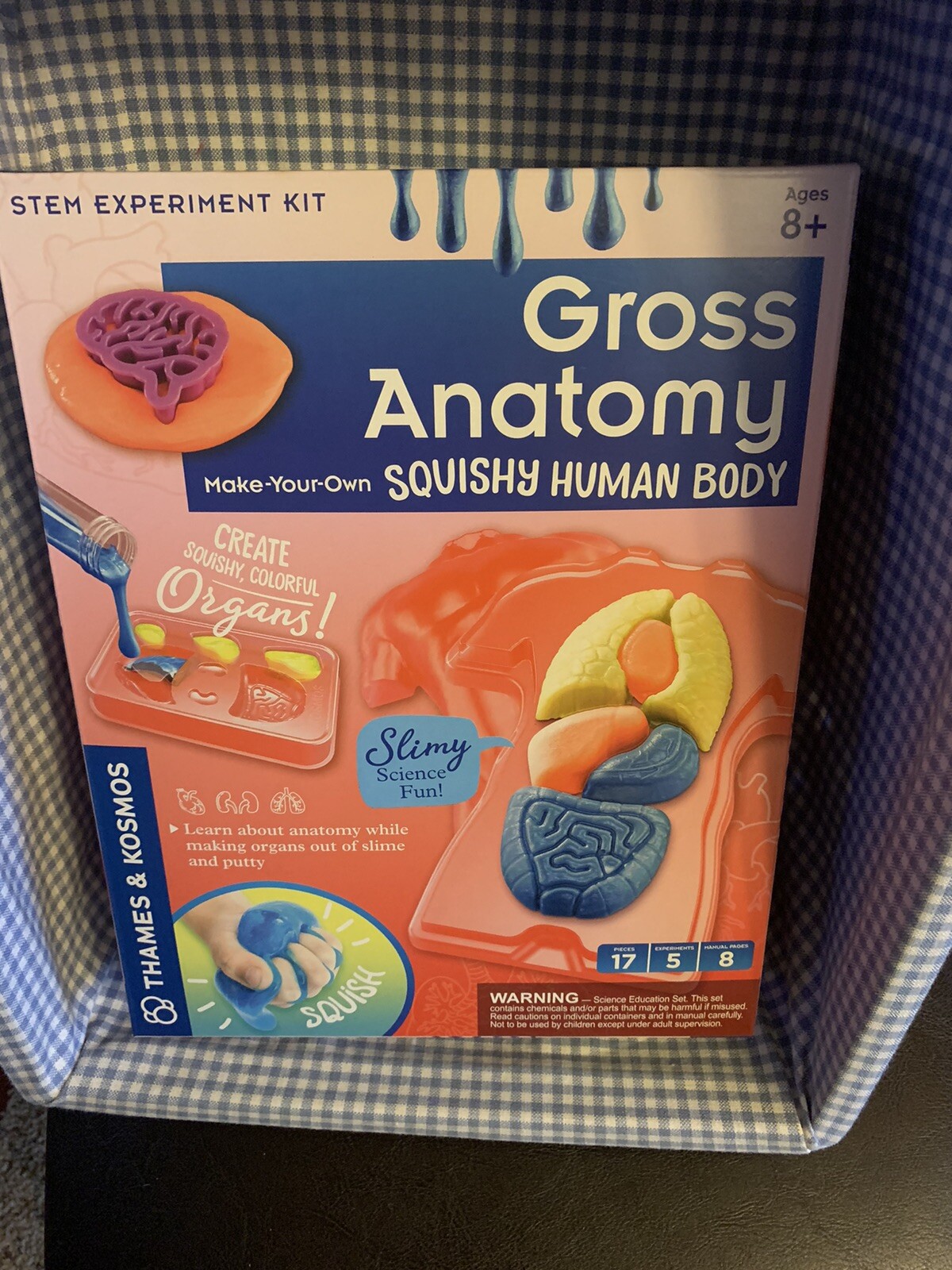 Gross Anatomy Make-your-own Squishy Human Body STEM Experiment Kit NIB