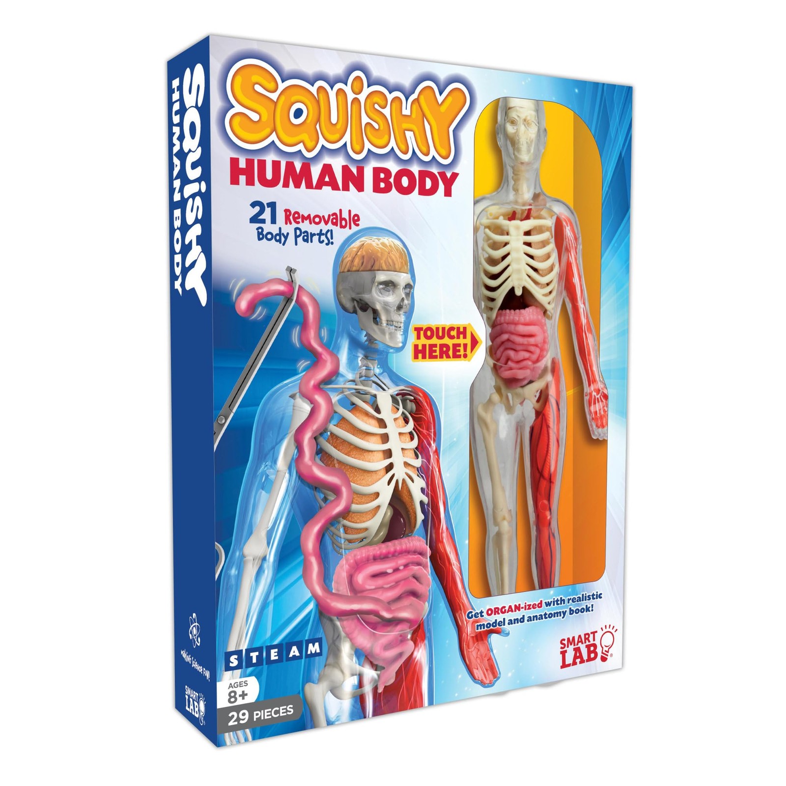 QPG Lab for , Squishy Human Body, 3-8