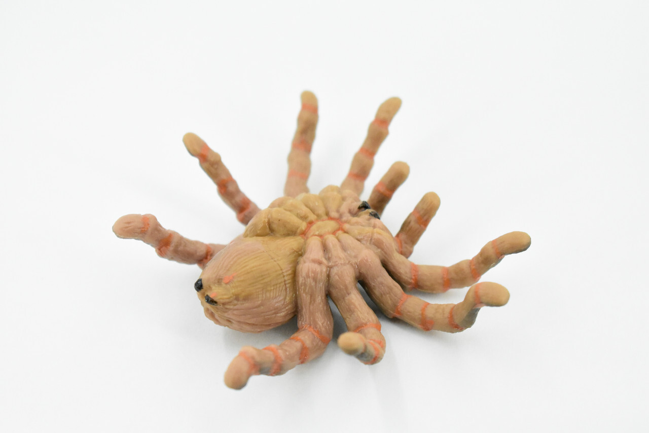 Wolf Spider, Hand Painted, Realistic Toy Figure, Model 3″ CH422 BB108