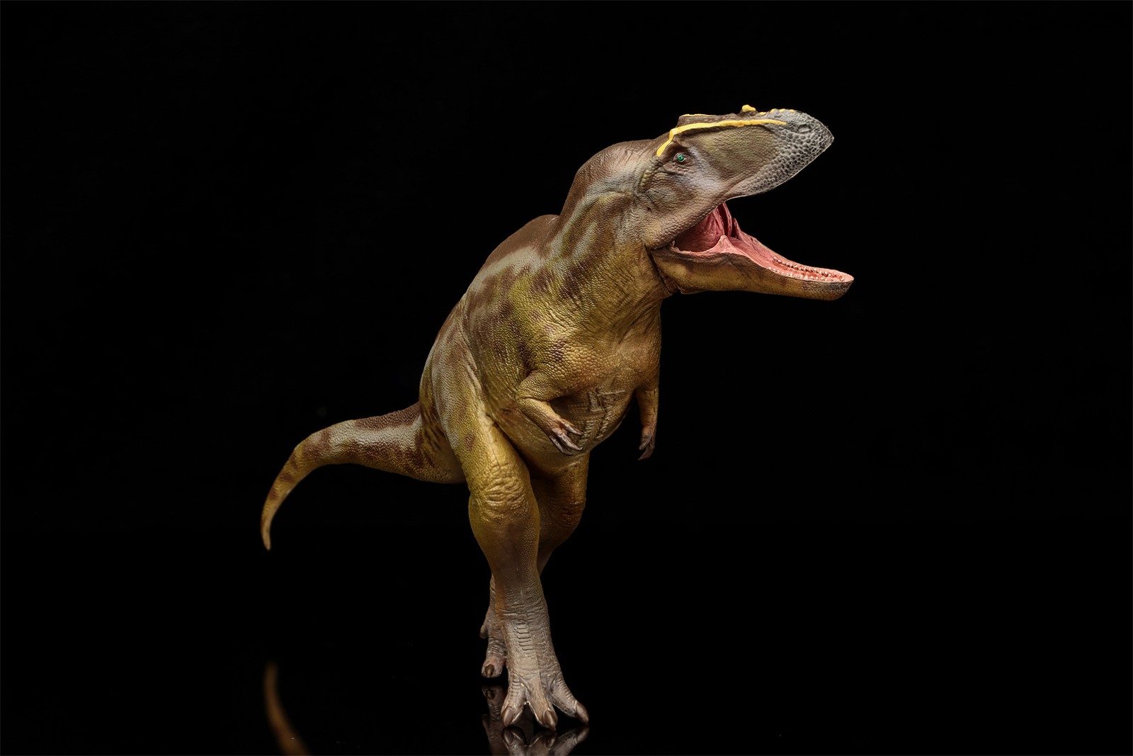 PNSO Tameryraptor 95 Model Decoration Dinosaur Animal Collection Gift Toys