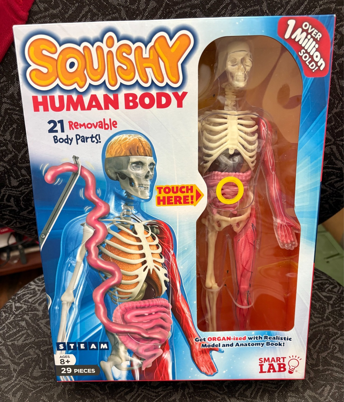SmartLab Toys Squishy Human Body with 21 Removable Body Parts with Anatomy Book