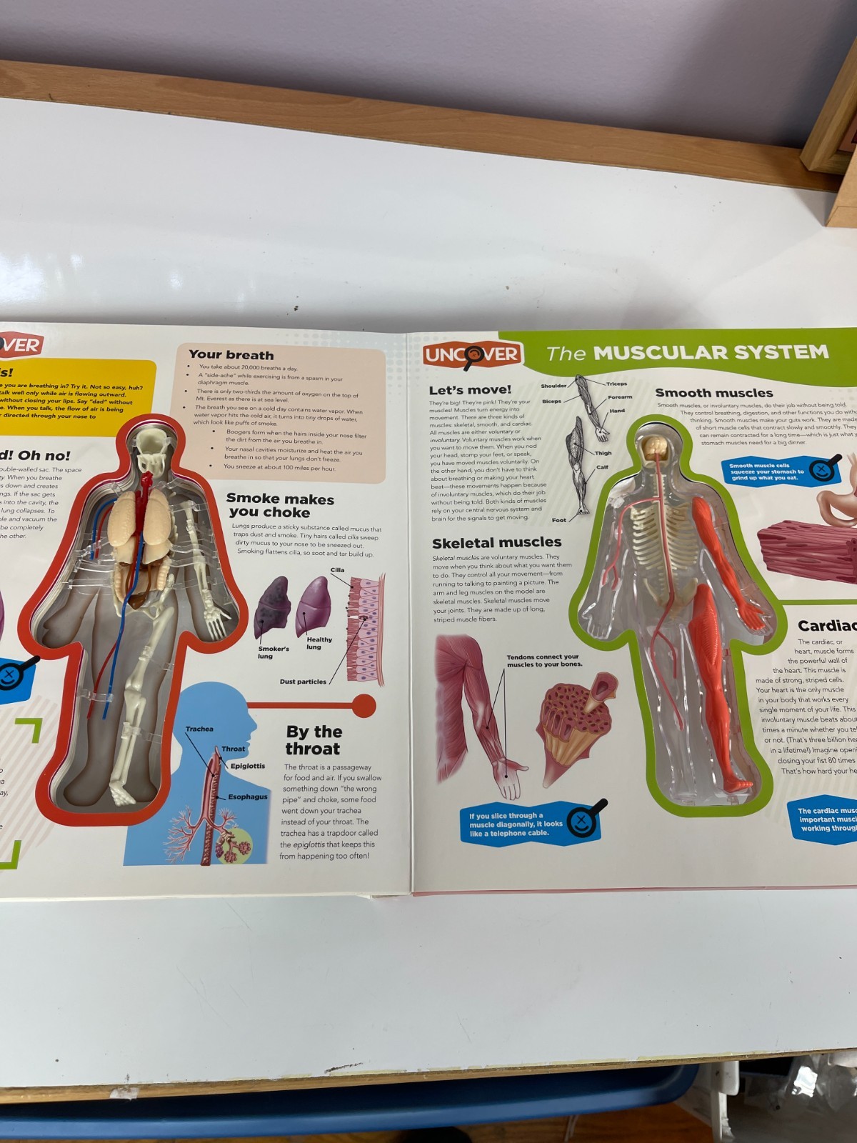 Uncover Human Body Book 3D Model 2020 STEM Anatomy Kids Educational