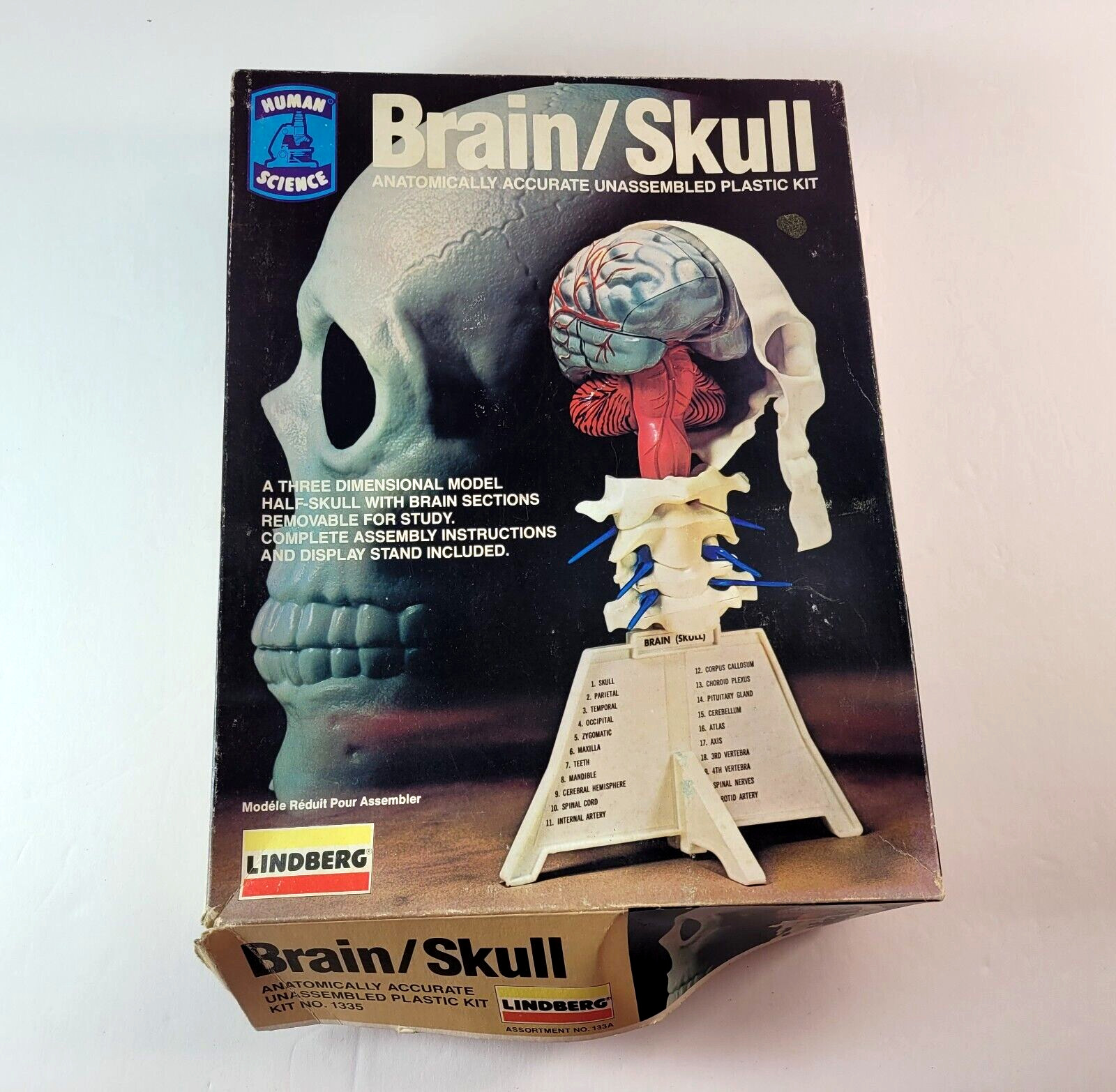 Vintage 1982 Lindberg Science Kits Brain / Skull Model Kit CIB New Old Stock NOS