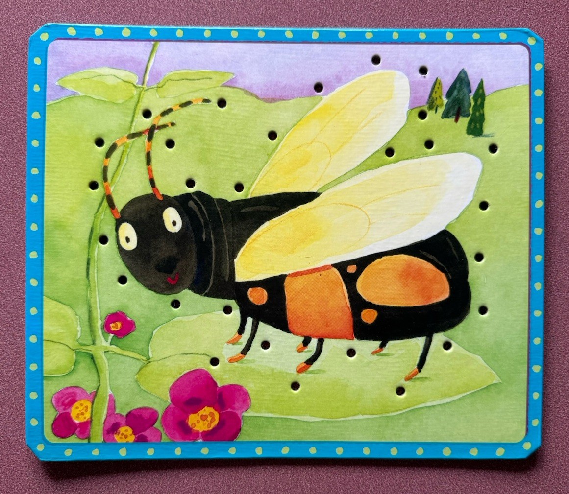 EeBoo Lacing Cards Set Of 5 “More Friendly Bugs” Ages 5 & Up, 4 Colored Laces