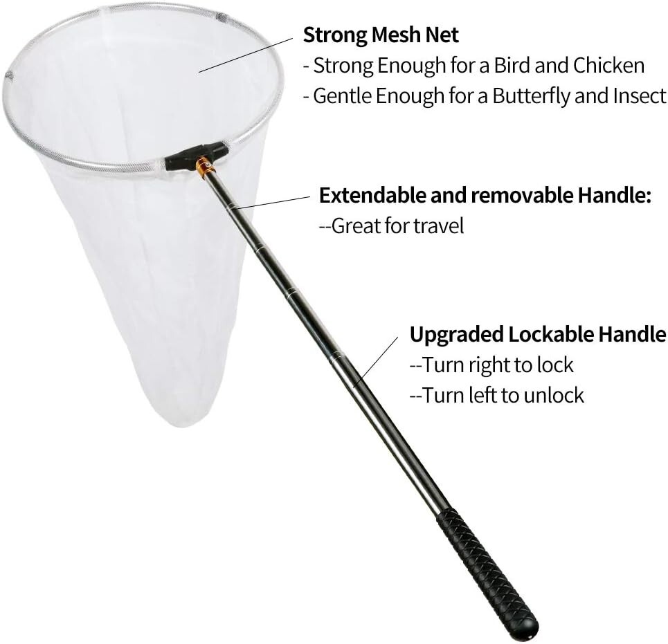 Telescopic Butterfly Net with 24″ Depth and 12″ Ring – Perfect for Collectors
