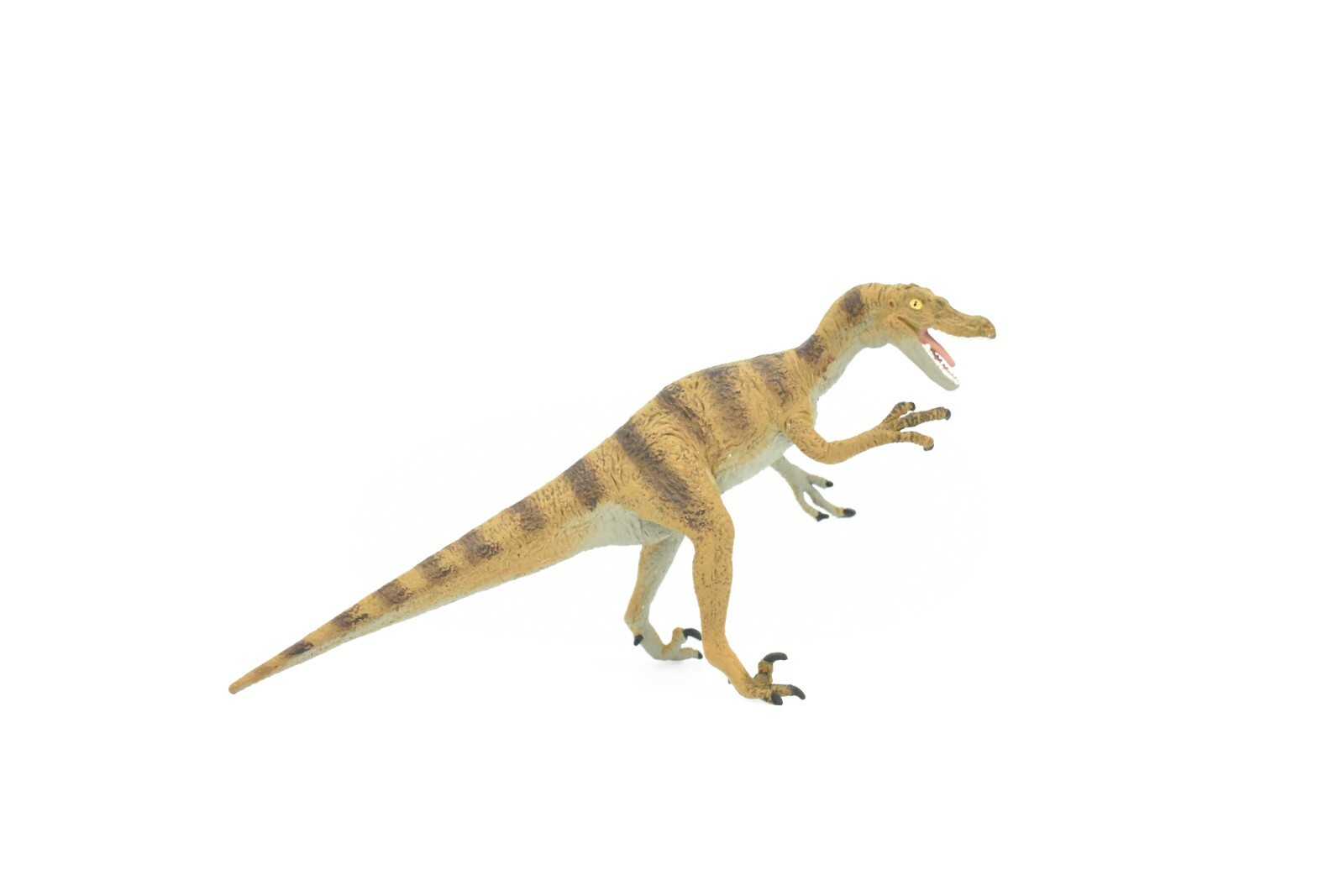 Velociraptor Dinosaur, Museum Quality Plastic Replica 7″ – F668 B69