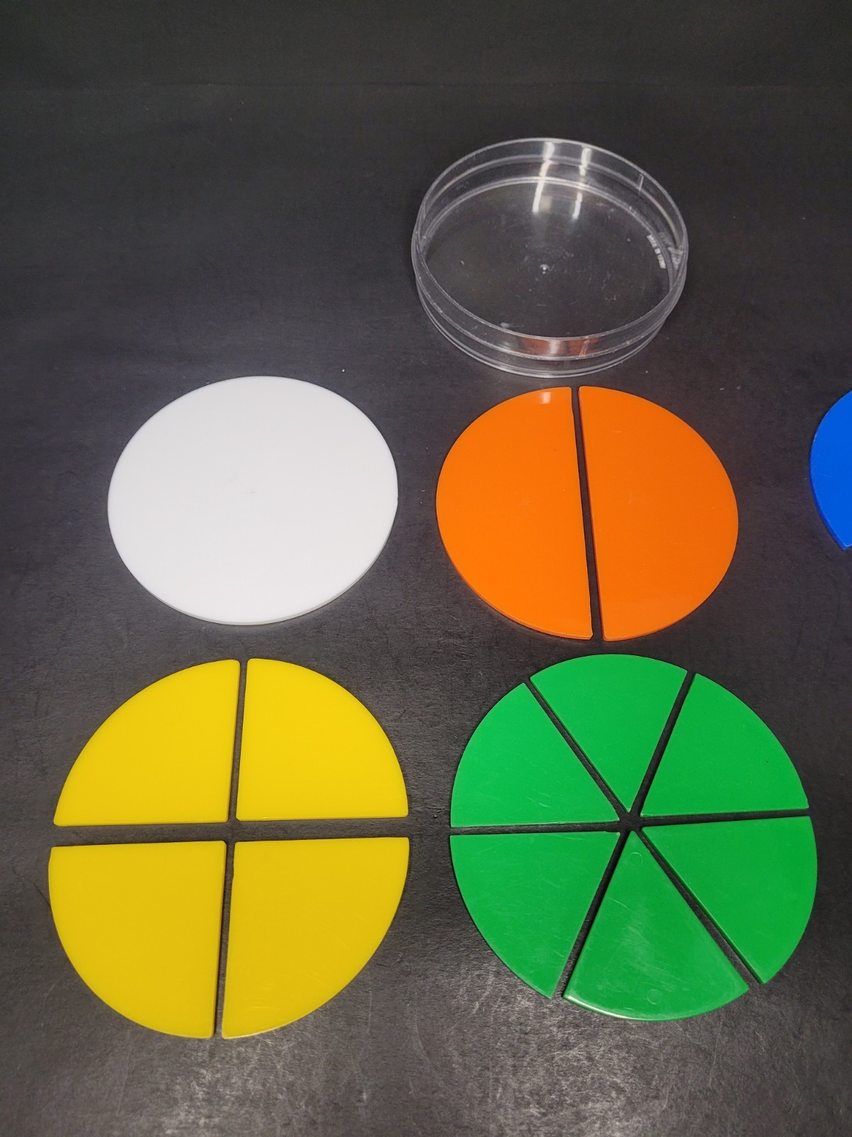 24pc Plastic Fractional Circle Puzzle Color-coded Learning/Development NO LID