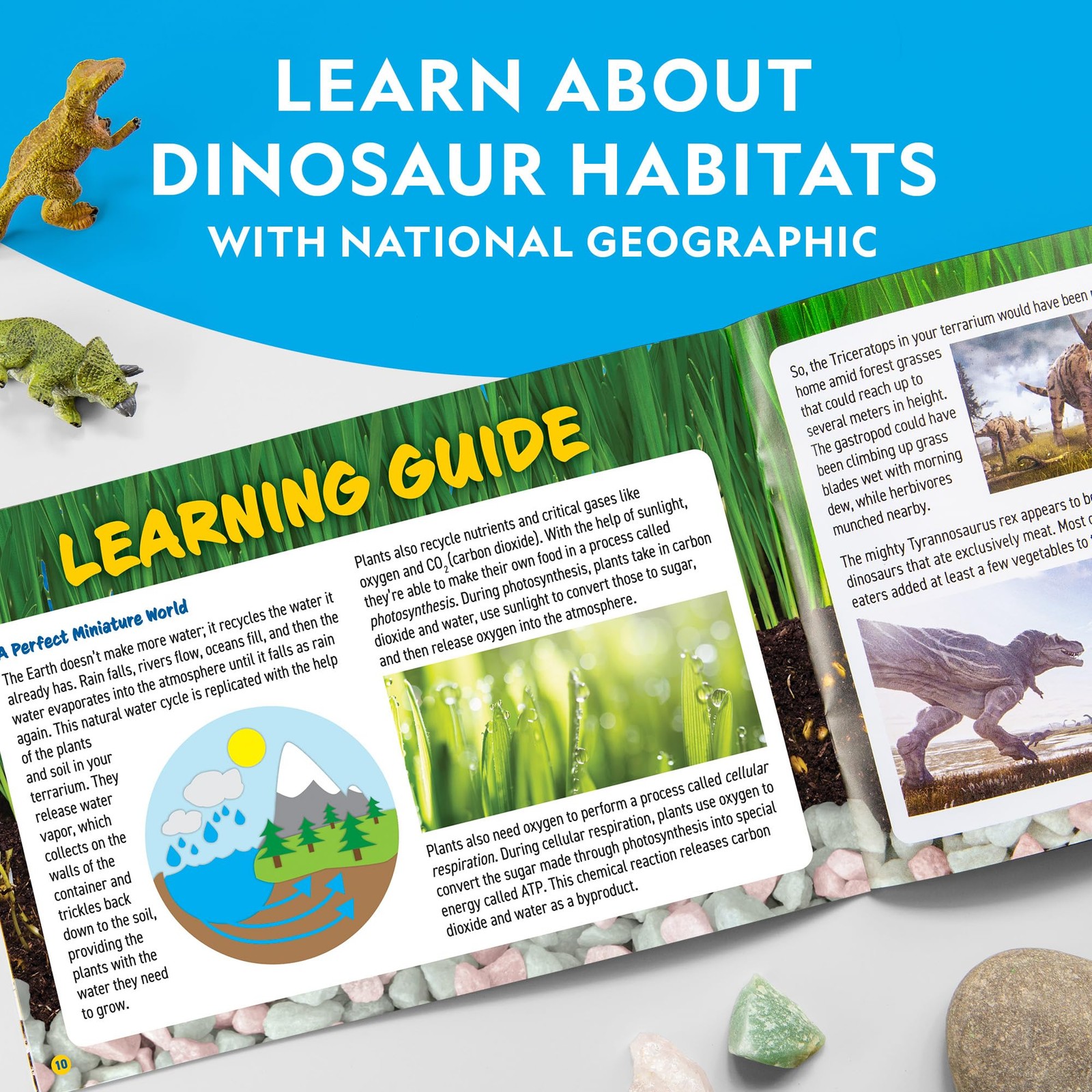National Geographic Light Up Terrarium Kit for Kids – Build a Dinosaur Habita…