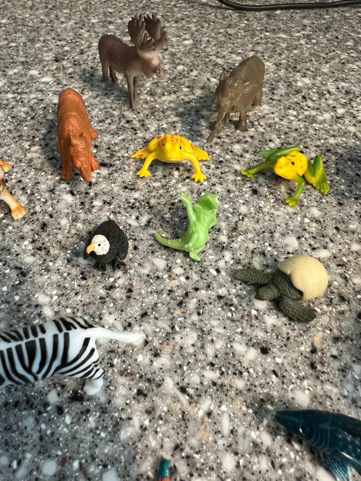 Lot of 16 plastic animal figures snake starfish zebra bald eagle