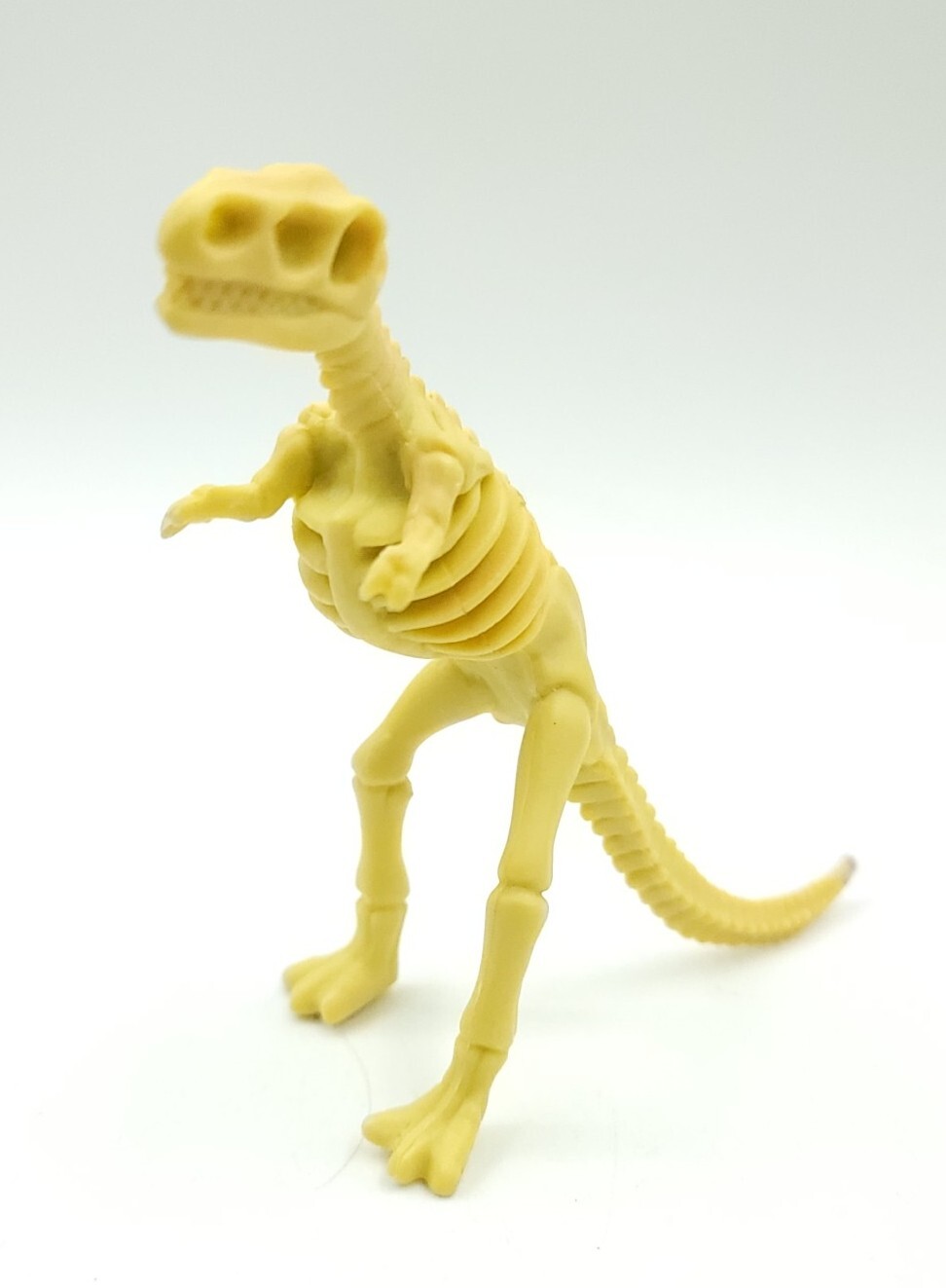 Tyrannosaurus rex, T. Rex, Dinosaur, Bones one-piece skeleton replica 5″