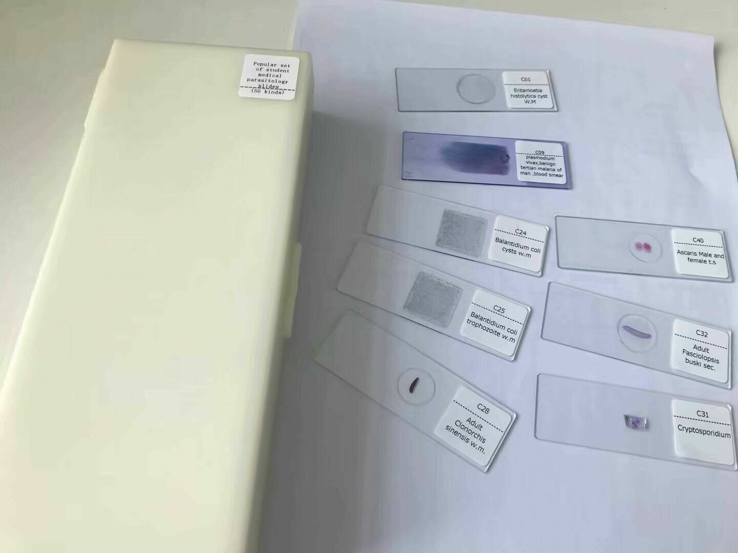 50 Kinds Medical Parasitology Slides Set