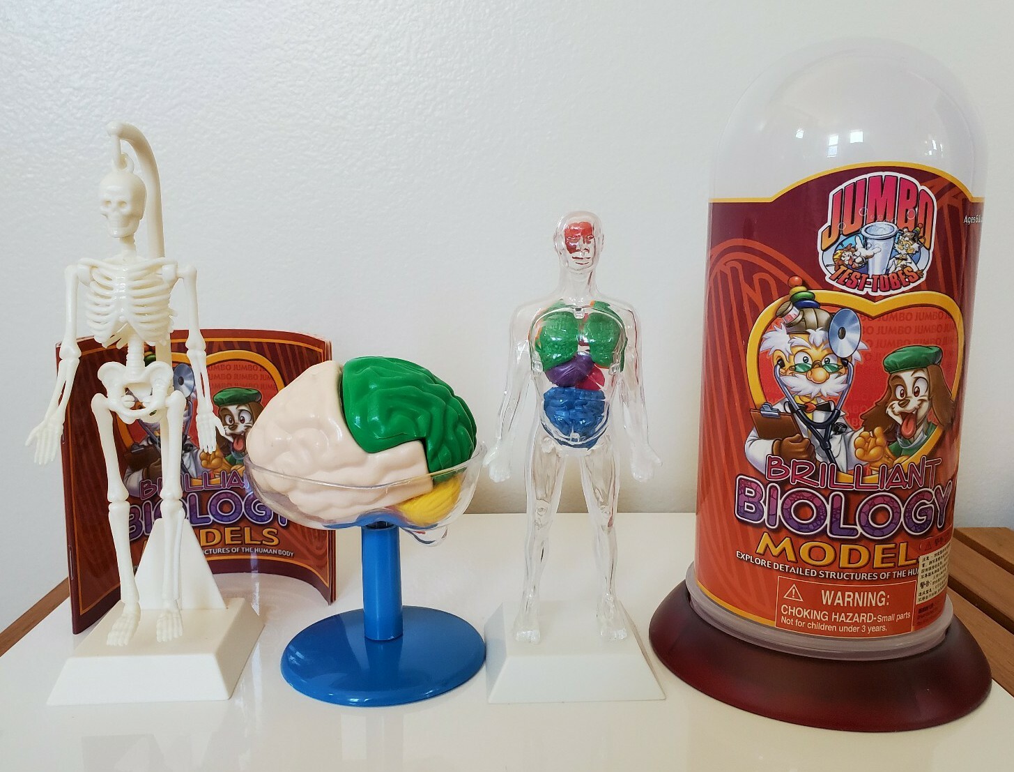 Brilliant Biology Model Student Kit Human Body Parts Brain Human Anatomy Model