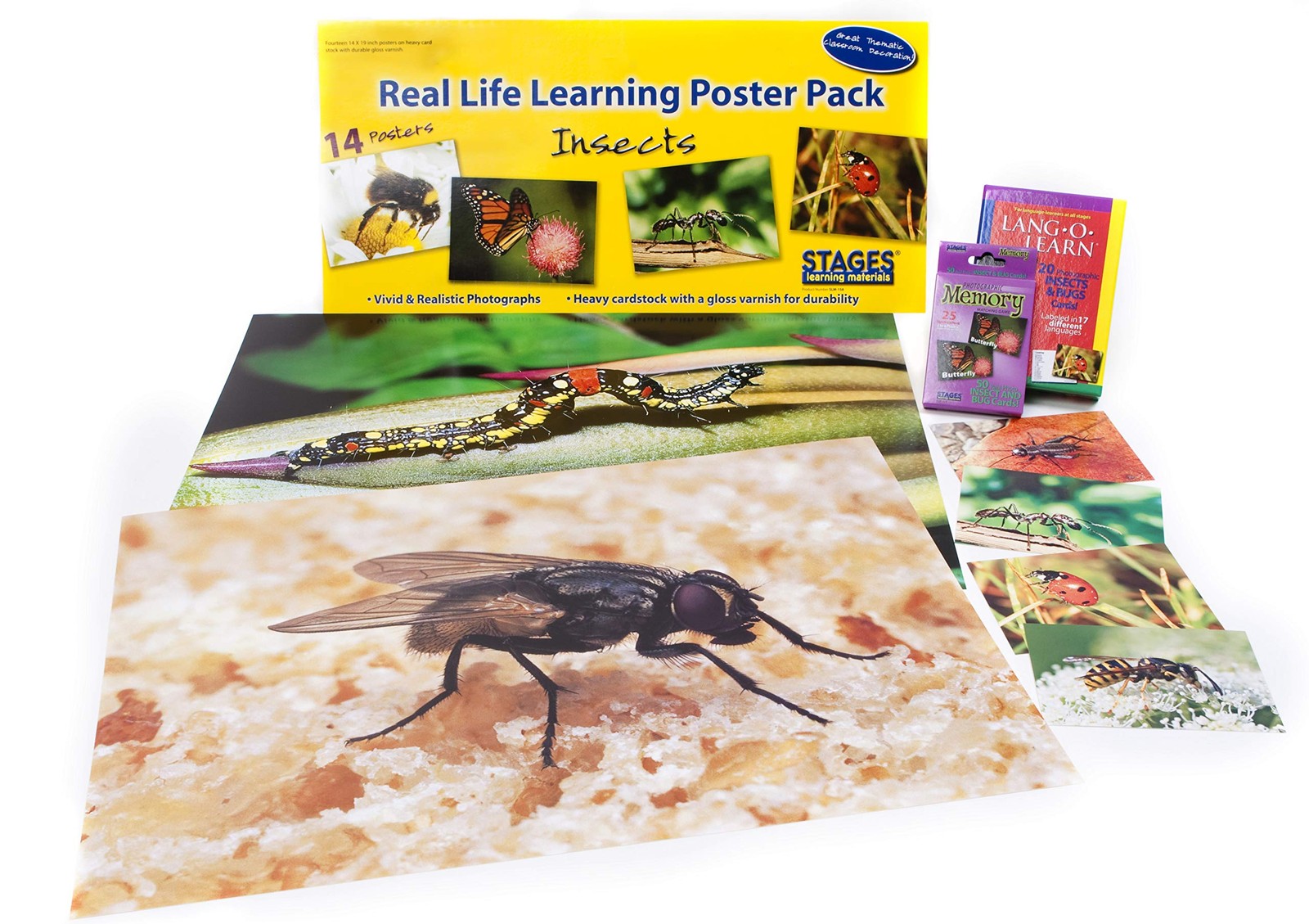 Learning Materials: Insects and Bugs Themed Kit for Preschool and Early Child…