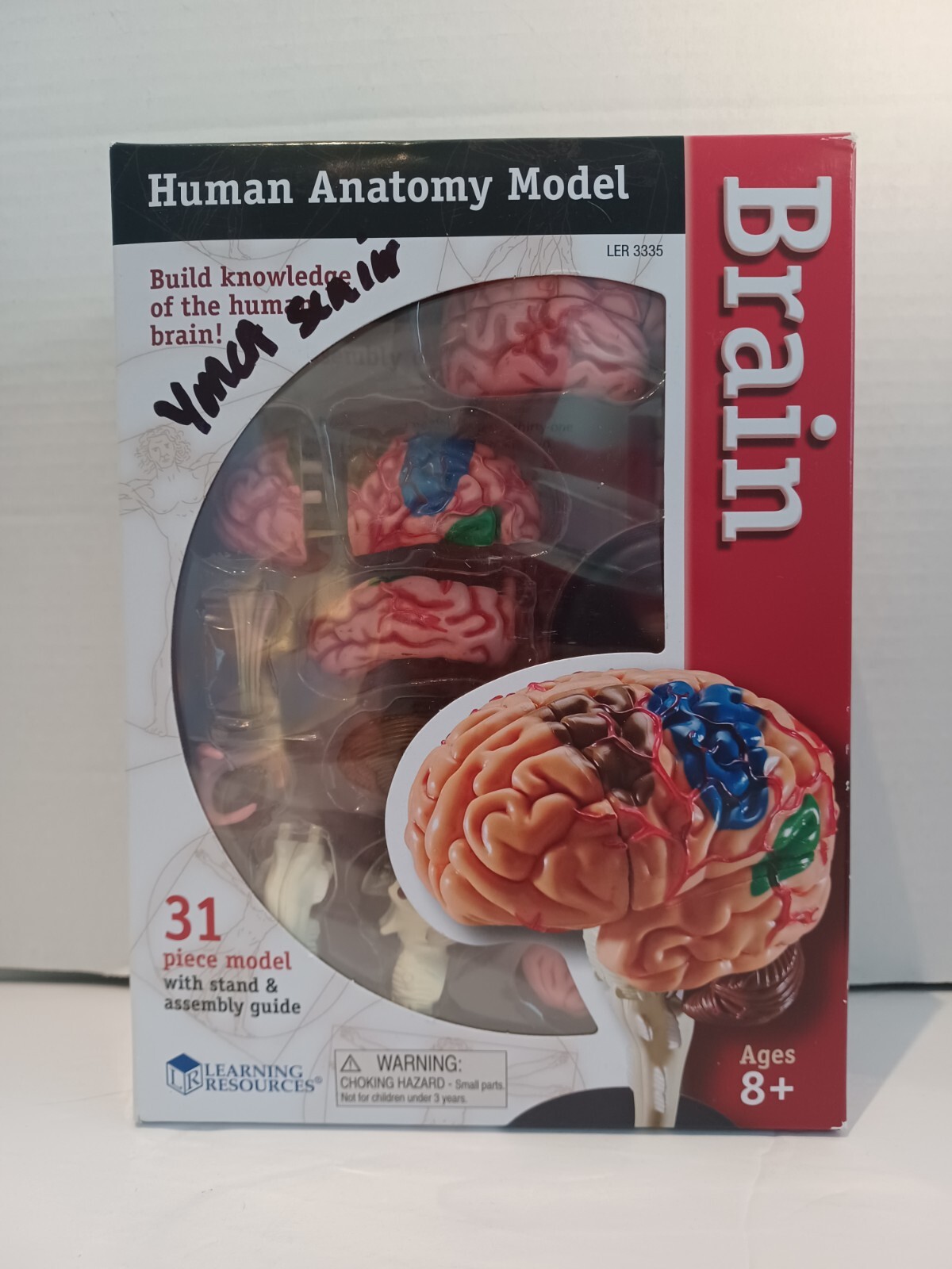 Learning Resources Human Anatomy Model 31 Pieces BRAIN NIB