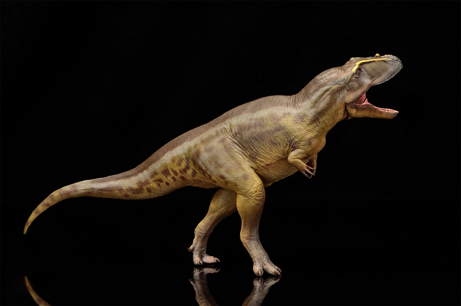 PNSO Tameryraptor 95 Model Decoration Dinosaur Animal Collection Gift Toys