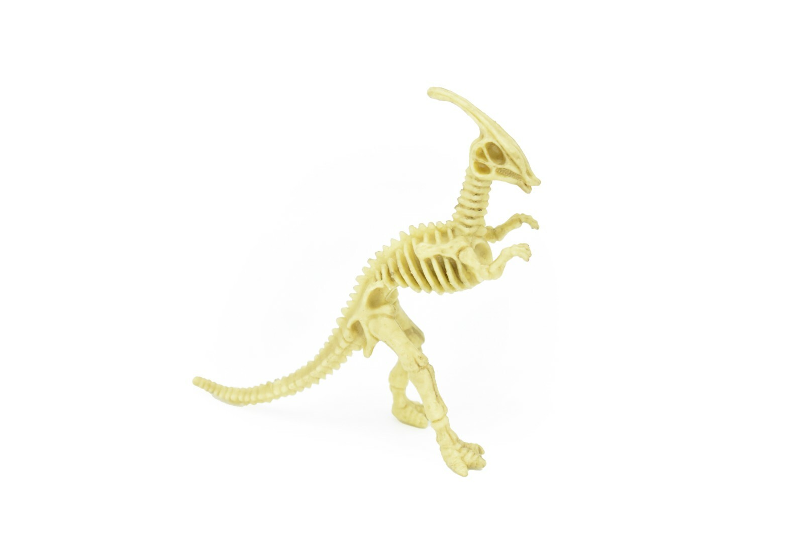 Parasaurolophus Dinosaur, Skeleton, Very Nice Plastic Replica 6″ F3283 B6