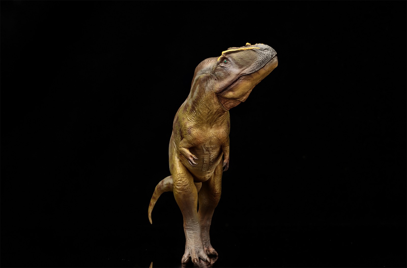 PNSO Tameryraptor 95 Model Decoration Dinosaur Animal Collection Gift Toys