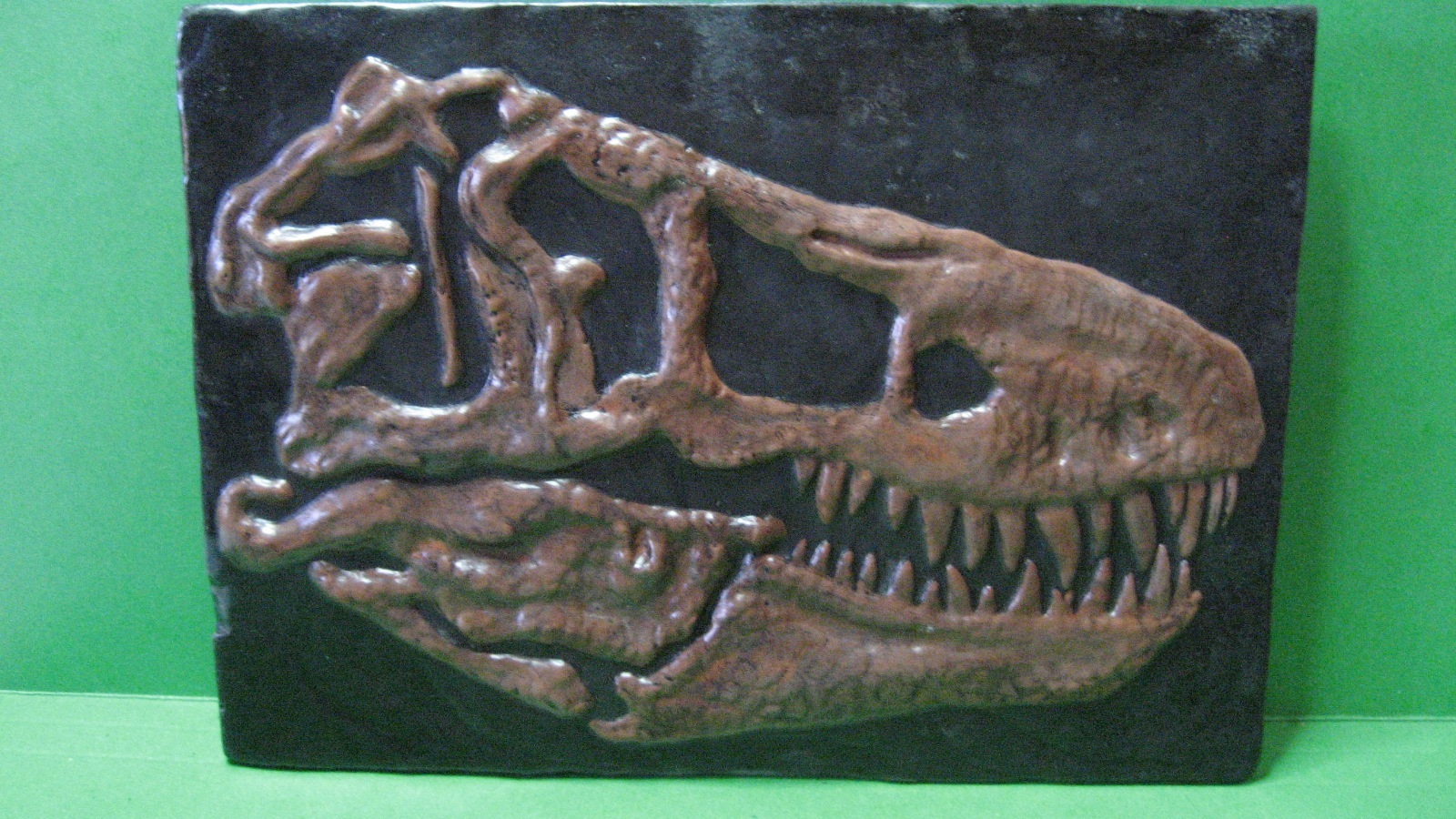 Tyrannosaurus’ Skull Expedition Dinosaur Excavation Kit – Fossil, Booklet, Tools