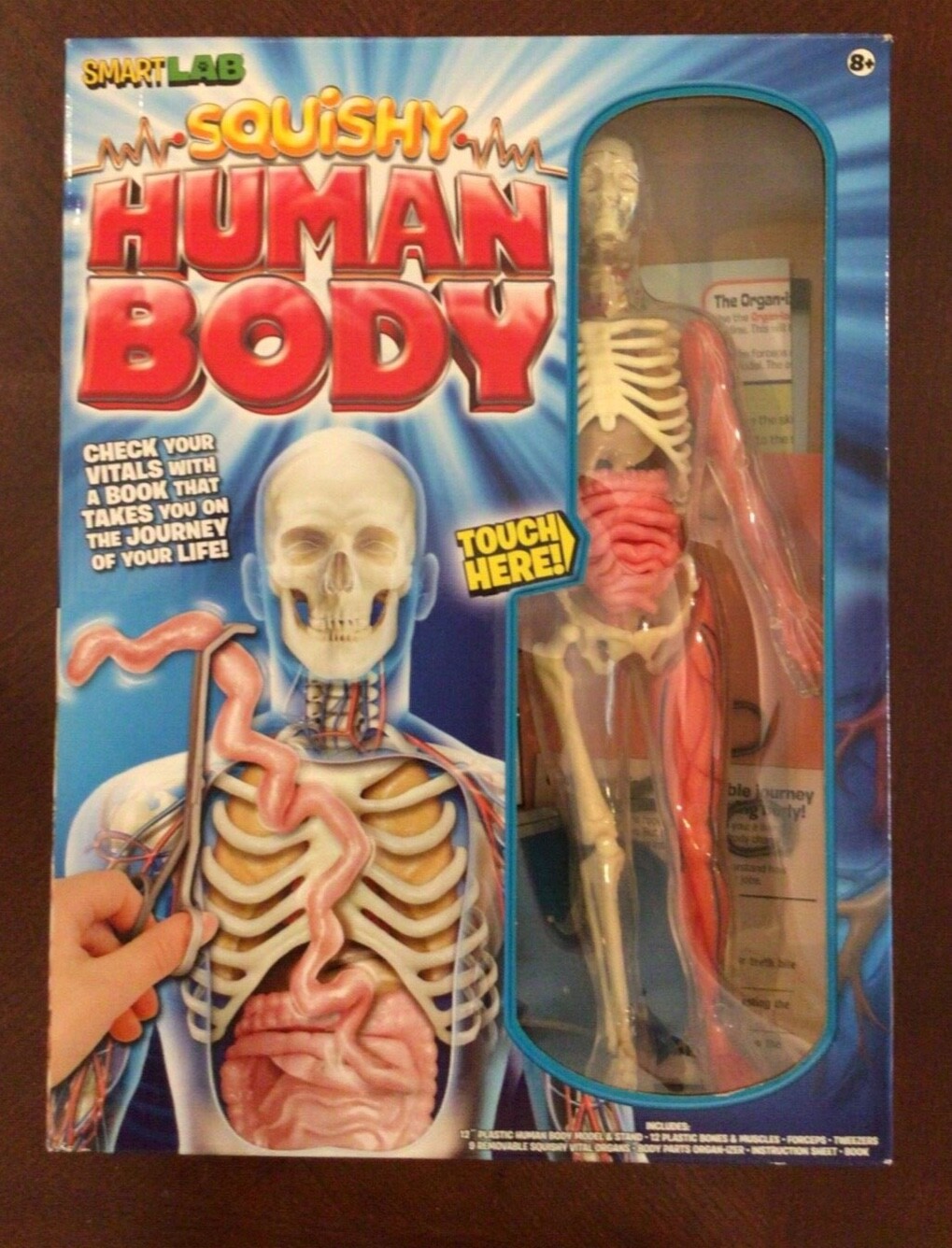 SmartLab Toys Squishy Human Body, Multicolor, Standard, 29 Pieces