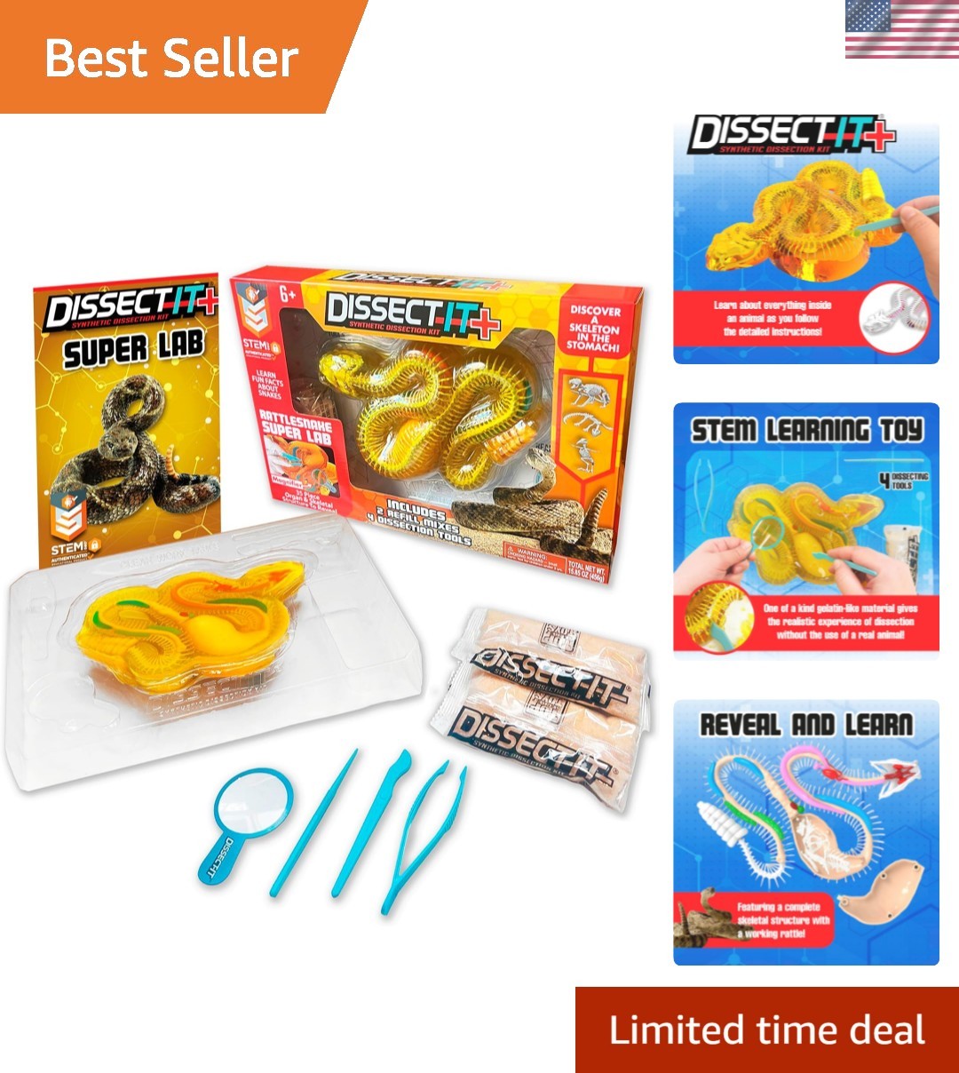 Rattlesnake Super Lab Kit for Kids, Synthetic Dissection Kids Science Kit to …