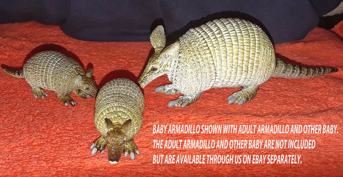 Armadillo Baby – AAA – Wild Animal Figure