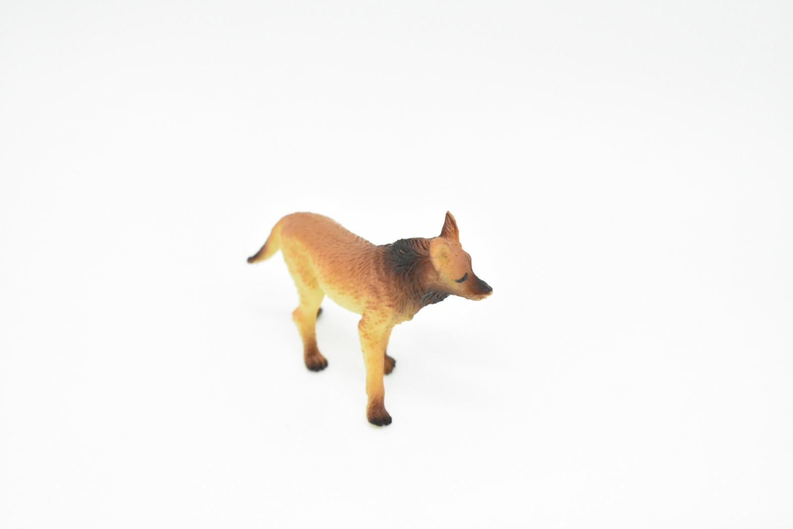 Dingo, Wild Dog Toy Very Nice Plastic Animal, 2 1/2 » CWG134 B238