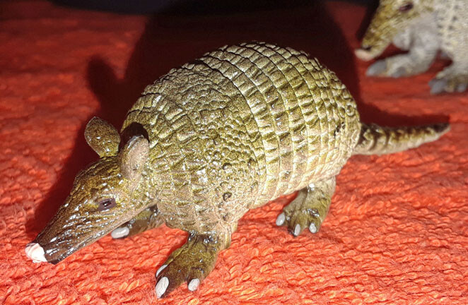 Armadillo Baby – AAA – Wild Animal Figure